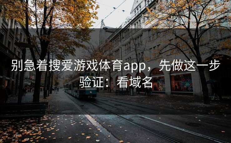 别急着搜爱游戏体育app,先做这一步验证:看域名 别急着搜爱游戏体育app,先做这一步验证:看域名