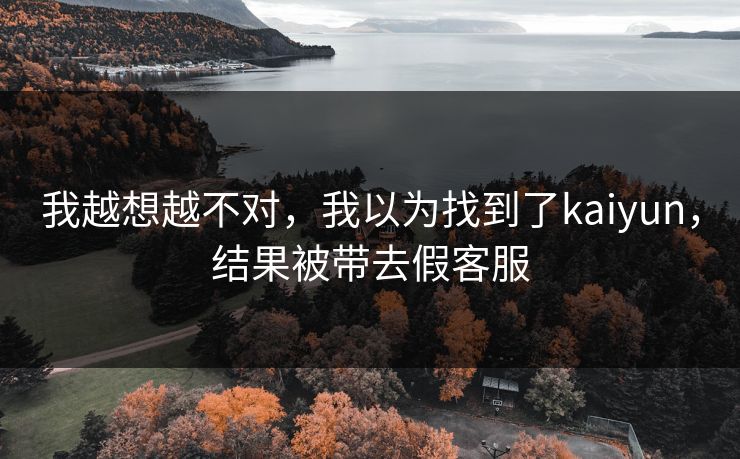 我越想越不对，我以为找到了kaiyun，结果被带去假客服
