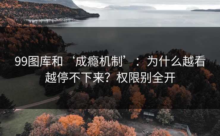 99图库和‘成瘾机制’：为什么越看越停不下来？权限别全开