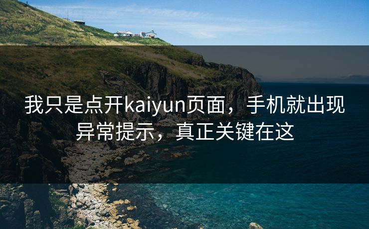 我只是点开kaiyun页面，手机就出现异常提示，真正关键在这